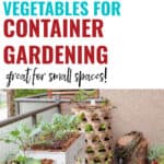 assorted containers growing vegetables on a balcony with text overlay 15 best vegetables for container gardening