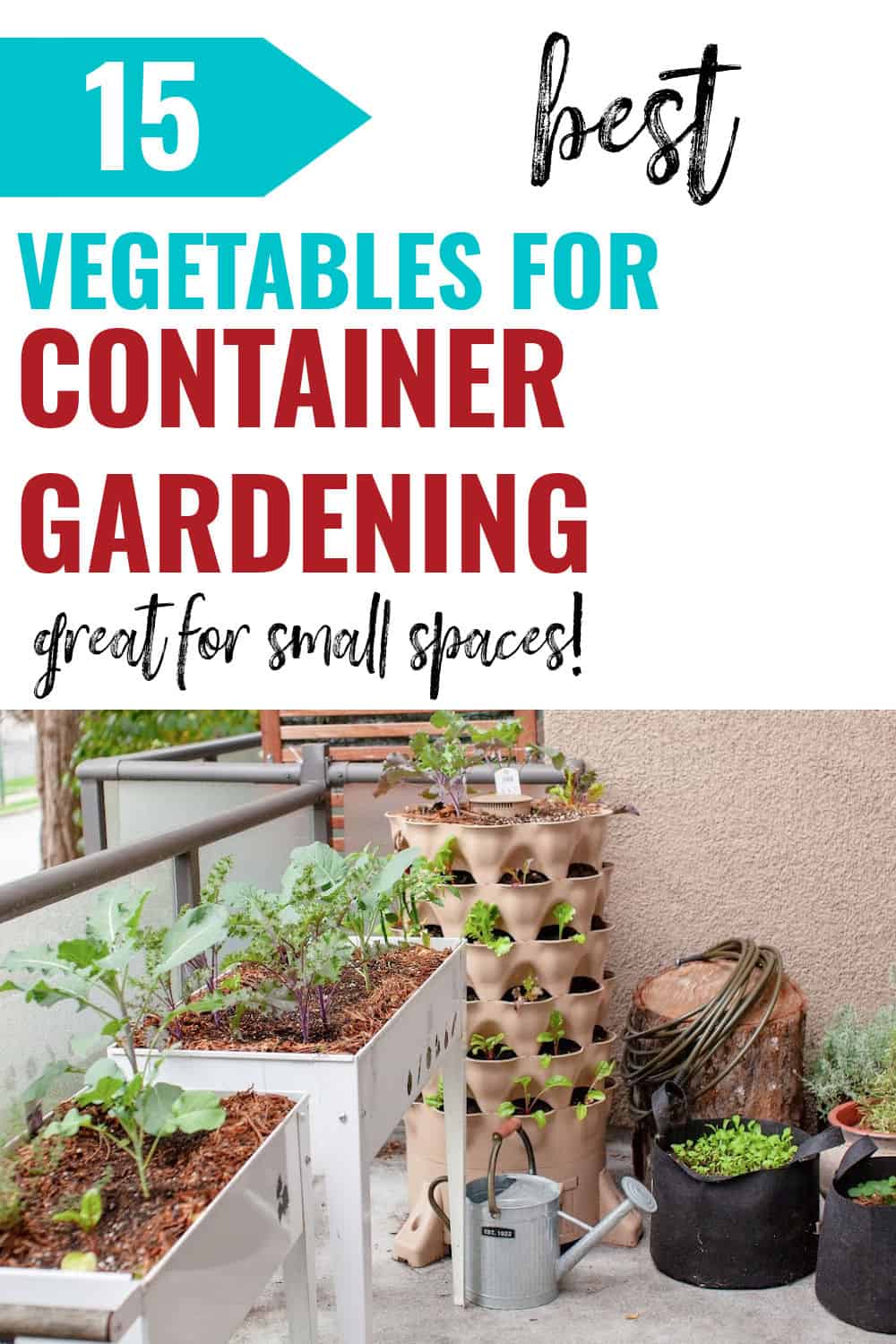 5 Top Fruits and Vegetables That Grow in Containers​