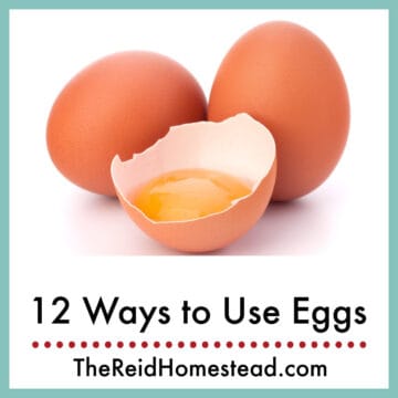 close up of two brown eggs and a yolk in half a shell with text overlay 12 Ways to Use Eggs
