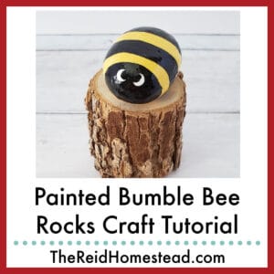 a painted bumble bee rock, text overlay Painted Bumble Bee Rocks Craft Tutorial