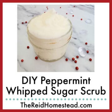 close up of a jar of peppermint whipped sugar scrub, text overlay DIY Peppermint Whipped Sugar Scrub
