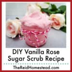 close up of a small jar of vanilla rose sugar scrub with roses on either side, text overlay DIY Vanilla Rose Sugar Scrub Recipe