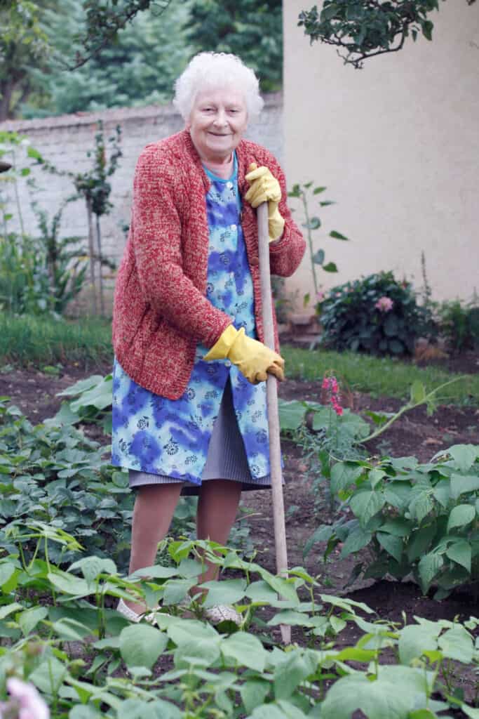 an elderly women standing in a vegetable garden with a rake