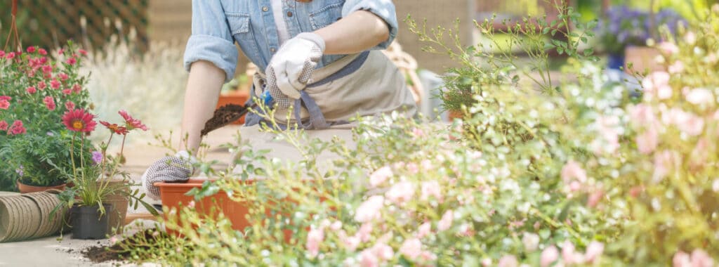 close up of a women's hands planting flower pots surrounded by flowers