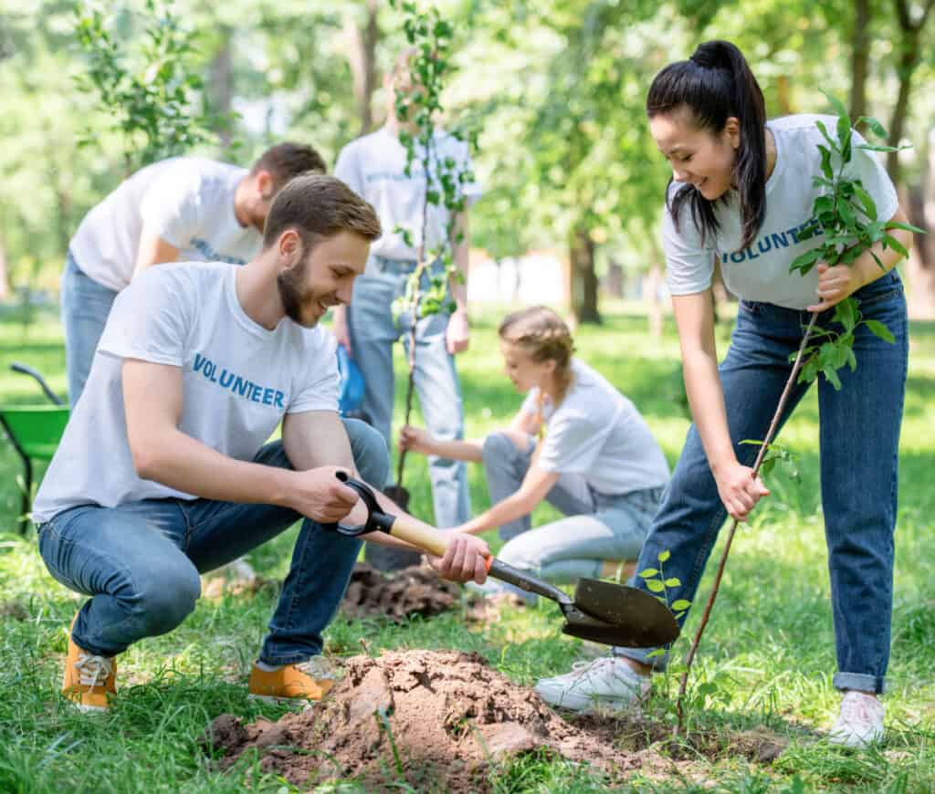 volunteers working together to plant trees