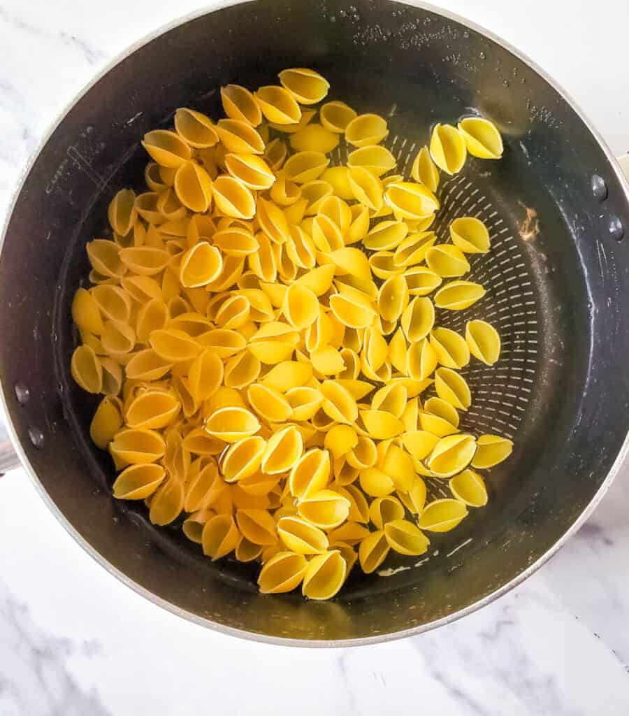 shell pasta in a pot