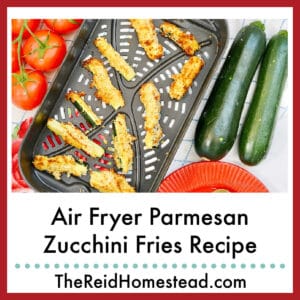 close up of an air fryer tray full of parmesan zucchini fries, text overlay Air Fryer Parmesan Zucchini Fries Recipe