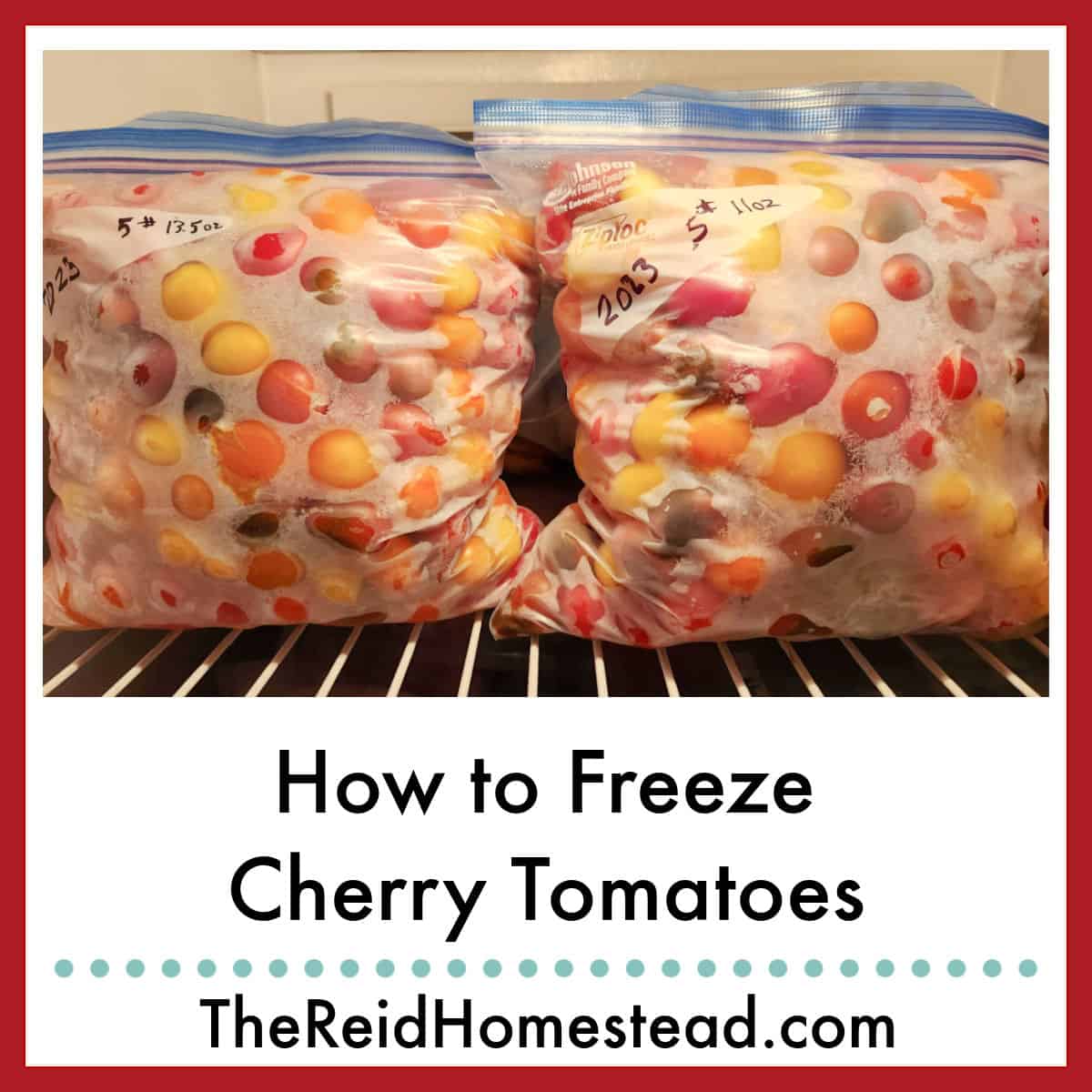 two gallon size freezer bags full of frozen cherry tomatoes, text overlay How to Freeze Cherry Tomates