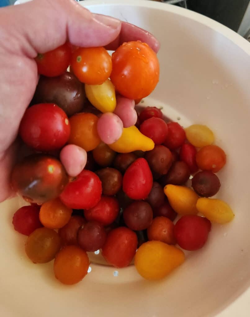 a handful of cherry tomatoes being dropped into a colander