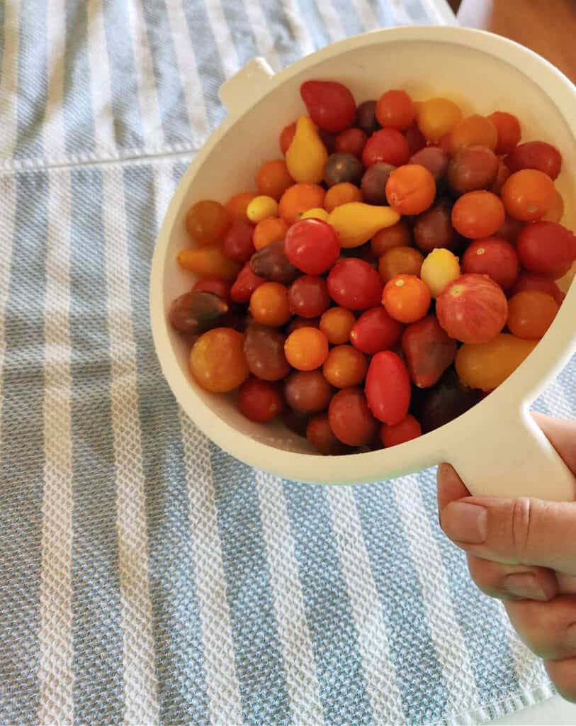 dumping a colander full of washed cherry tomatoes onto a kitchen towel