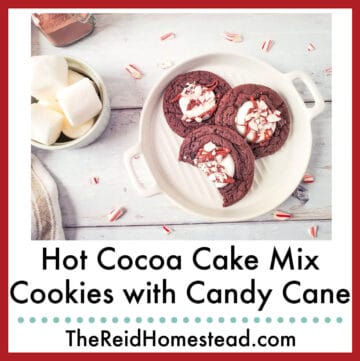 3 cookies on a plate, text overlay Hot Cocoa Cake Mix Cookies with Candy Cane